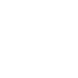 ce logo Bridge Port