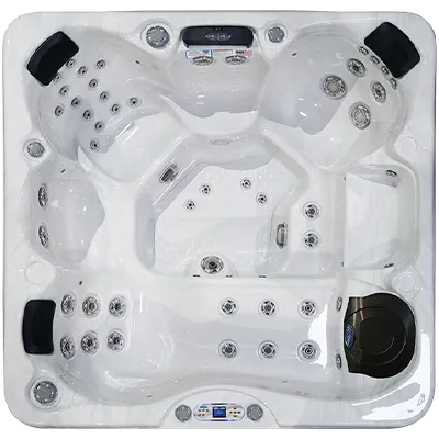 Avalon EC-849L hot tubs for sale in Bridge Port