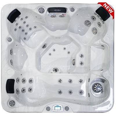 Avalon-X EC-849LX hot tubs for sale in Bridge Port