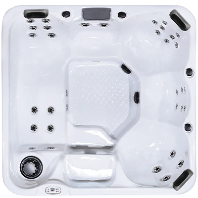 Hawaiian Plus PPZ-634L hot tubs for sale in Bridge Port