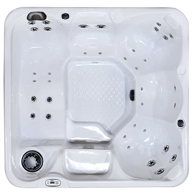 Hawaiian PZ-636L hot tubs for sale in Bridge Port